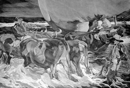 Sol de la tarde | Dr. Angel Escudero Juan