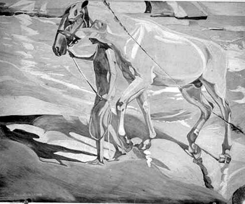 Caballo blanco | Dr. Angel Escudero Juan