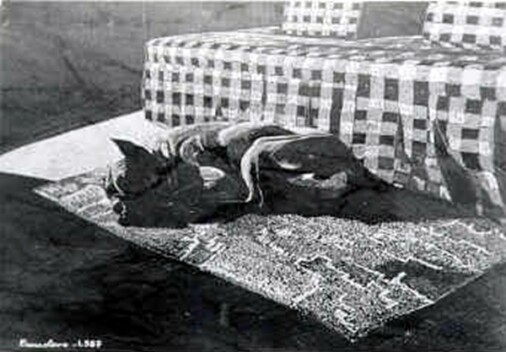 Dan | Dr. Angel Escudero Juan