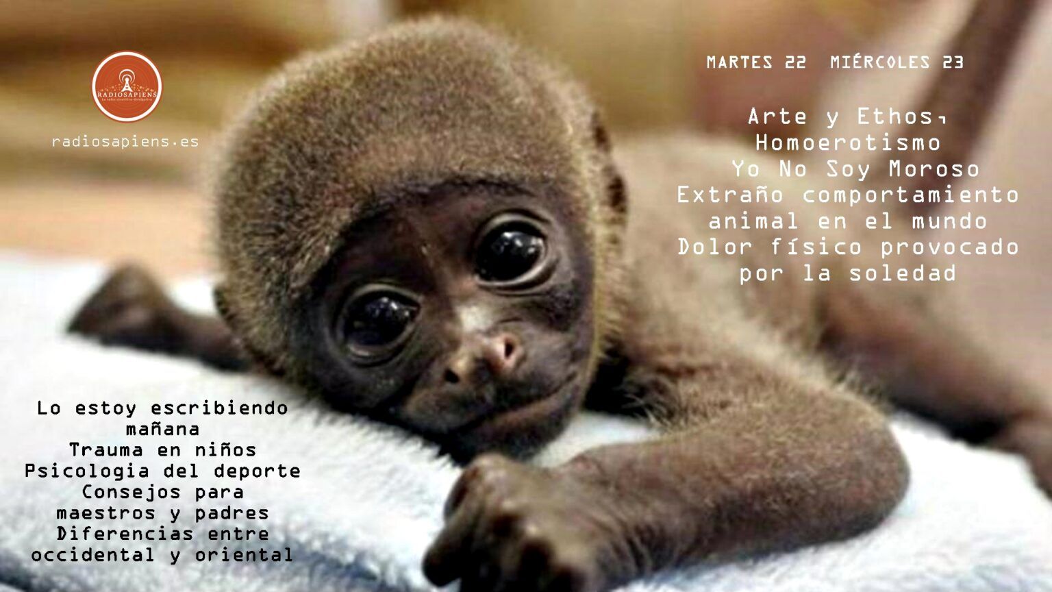 MARTES 22 MIERCOLES 23 (emisiones)