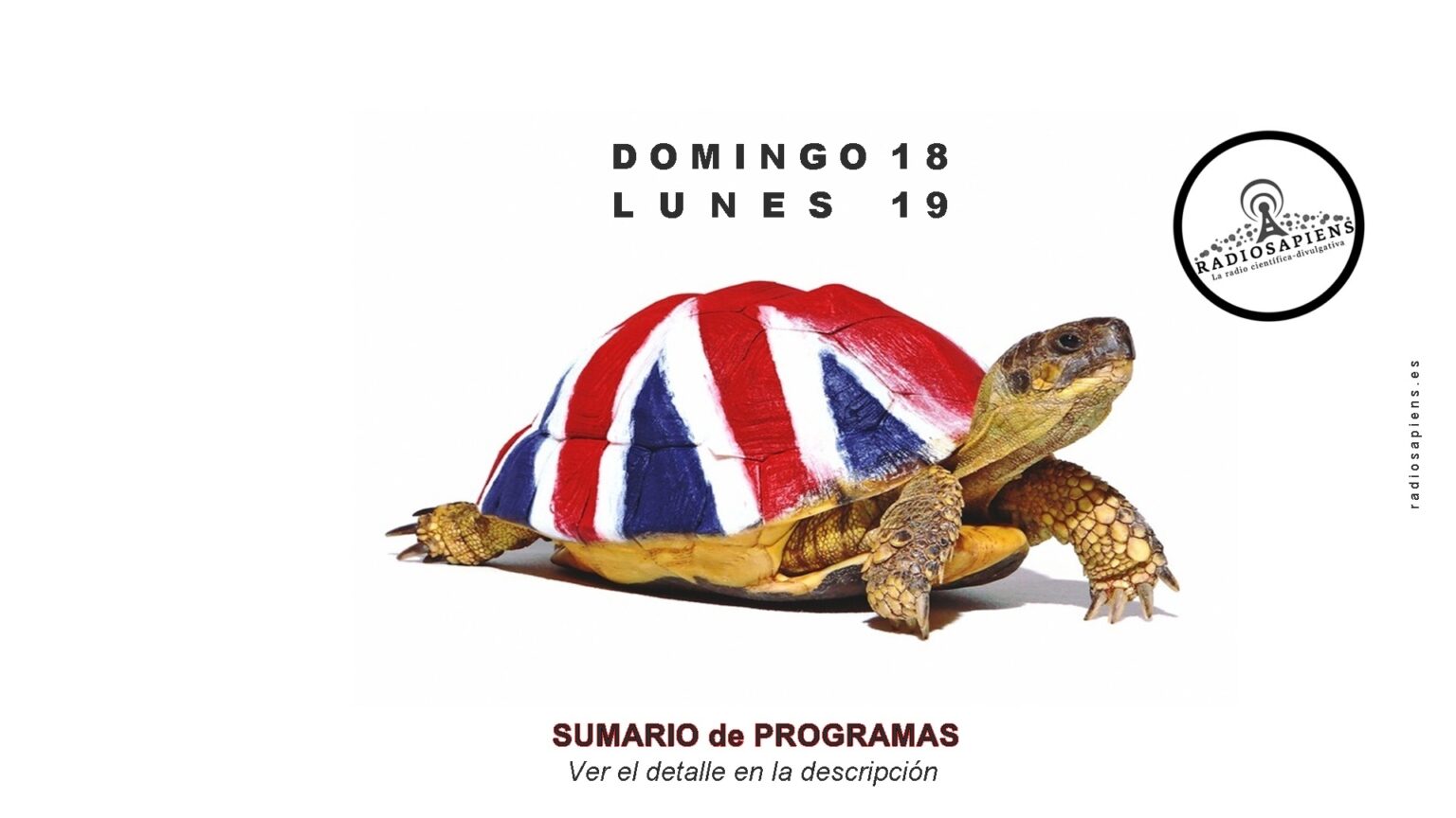 Domingo 19 – Lunes 20