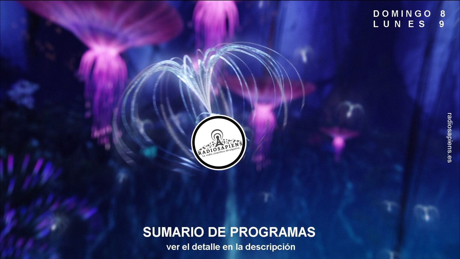 Domingo 8 – Lunes 9