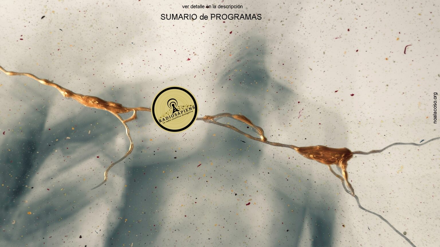 DOMINGO 8 – LUNES 9