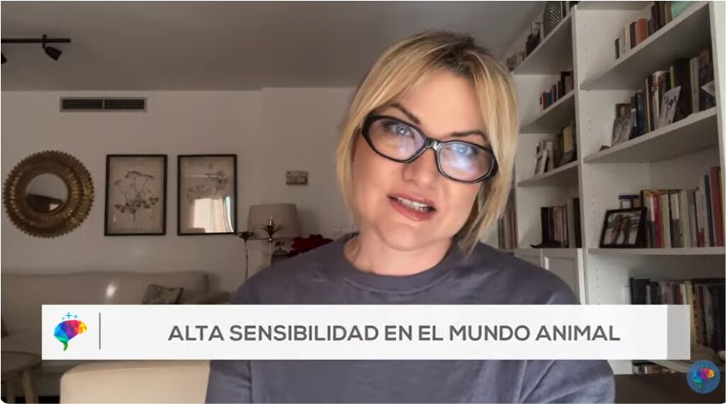 ANIMALES SENSIBLES: Descubriendo Su Mundo Oculto